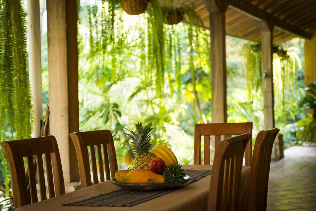 La Villa De Soledad La Ceiba Bagian luar foto