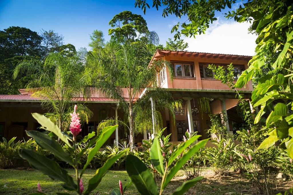 La Villa De Soledad La Ceiba Bagian luar foto